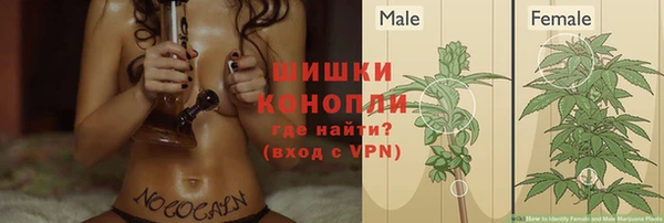 винт Верея