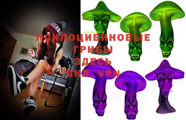 бошки Бугульма