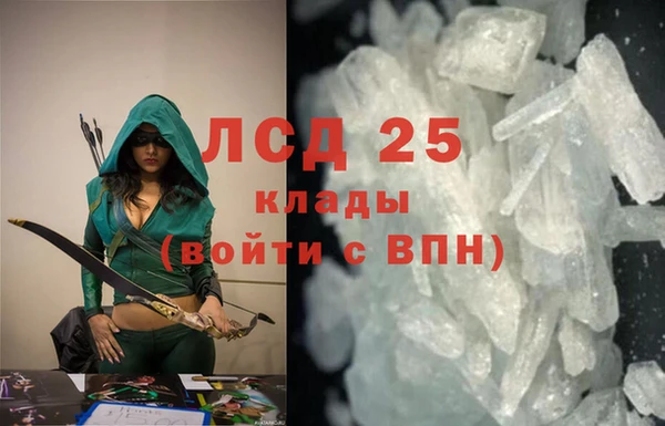 винт Верея