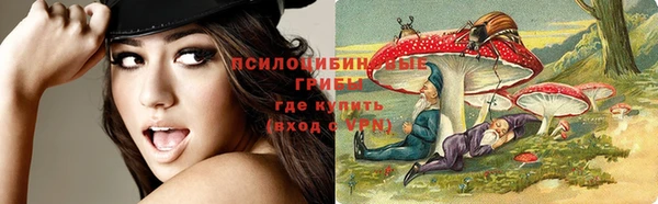 бошки Бугульма