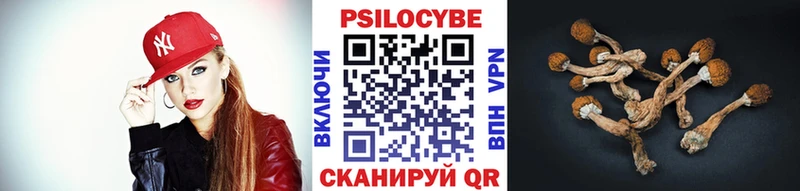 Галлюциногенные грибы прущие грибы  Ивдель 